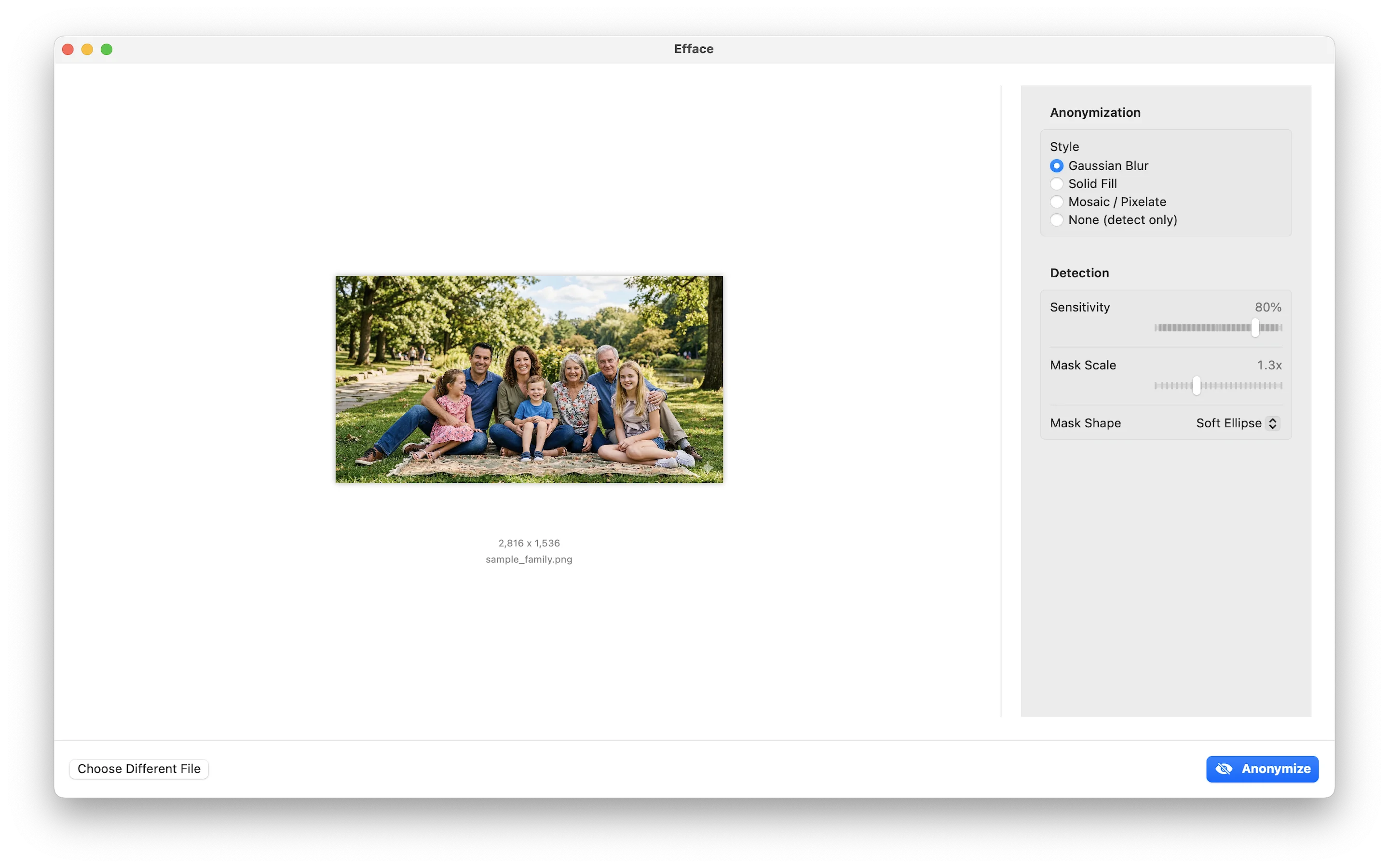 Photo before face anonymization