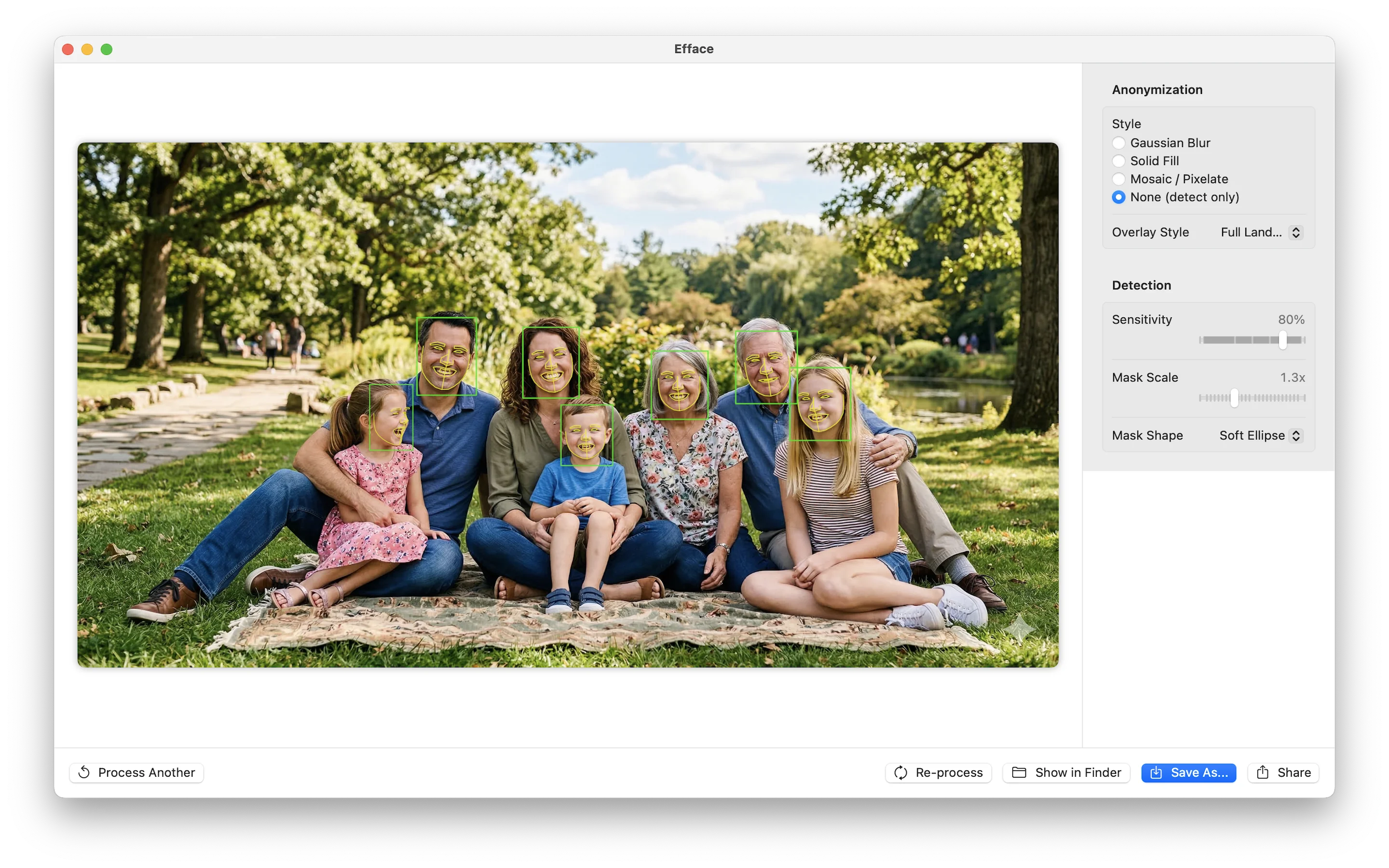 Face detection overlay mode